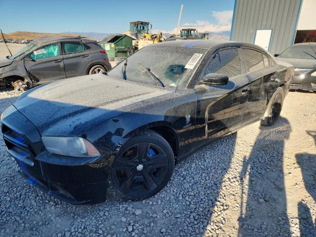 Global Auto Auctions: 2011 DODGE CHARGER R/