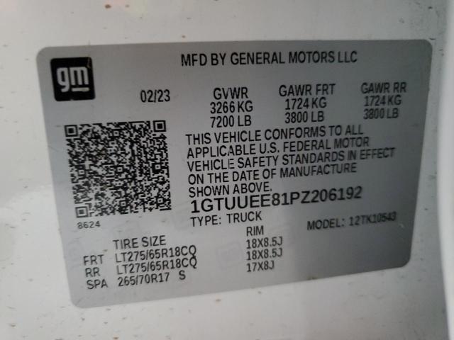 2023 GMC SIERRA K15 1GTUUEE81PZ206192