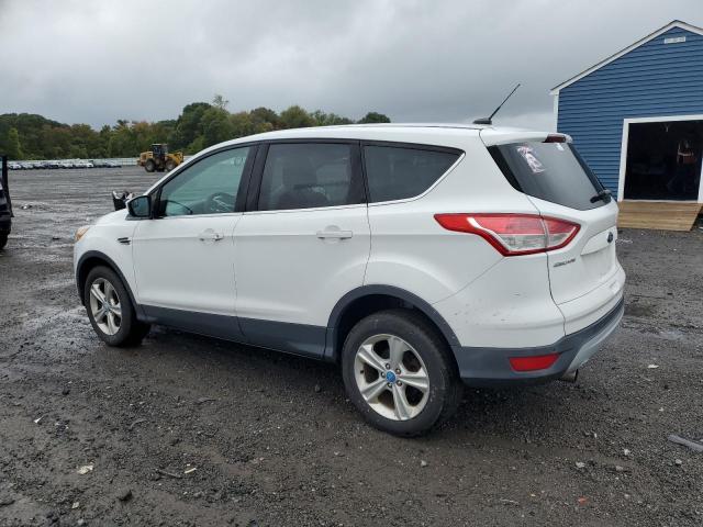 2013 FORD ESCAPE SE - 1FMCU0GX1DUC48658