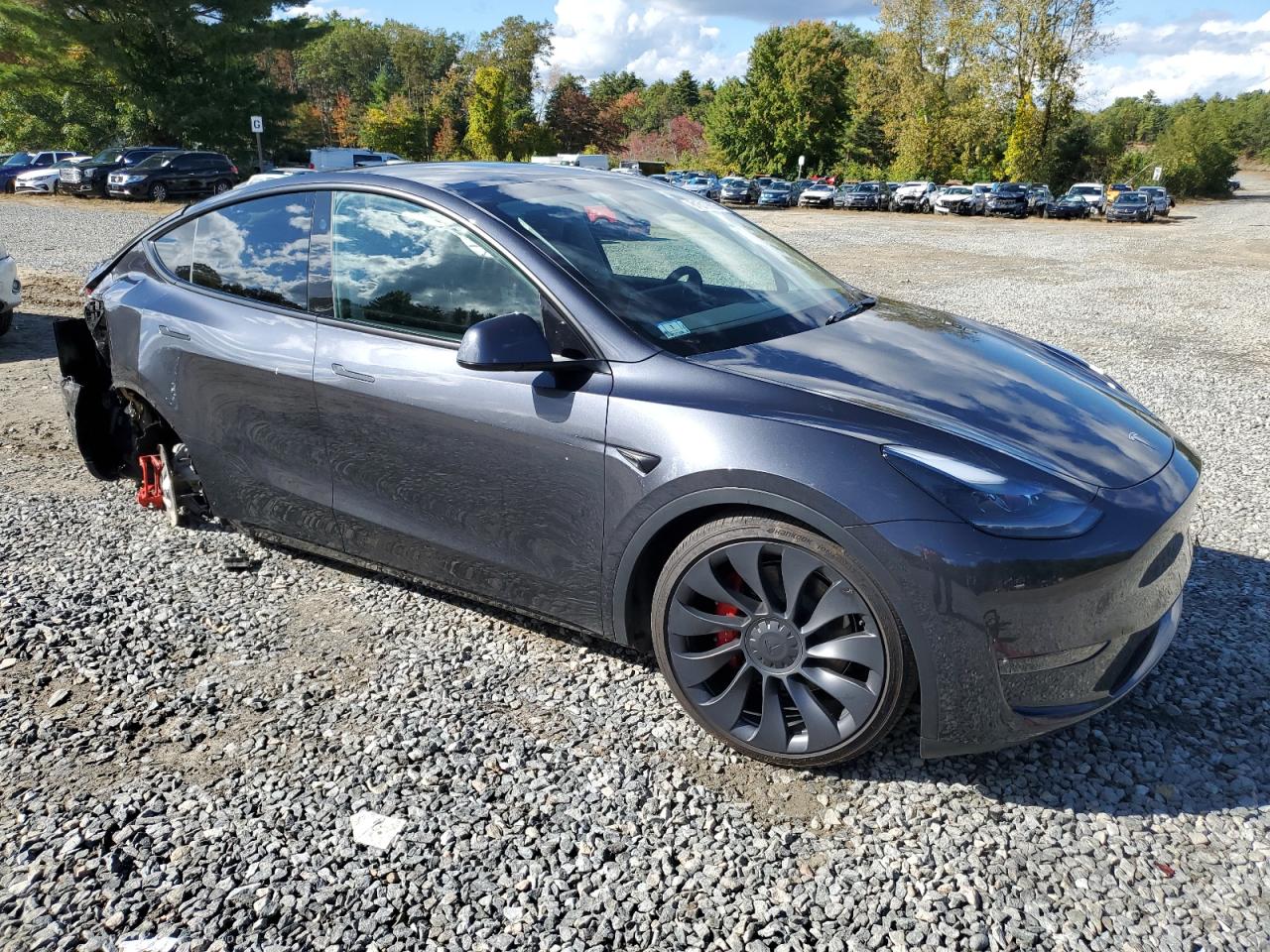 TESLA MODEL Y