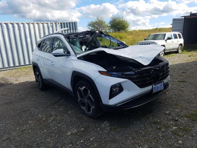 2022 HYUNDAI TUCSON LUX KM8JCCA10NU016344