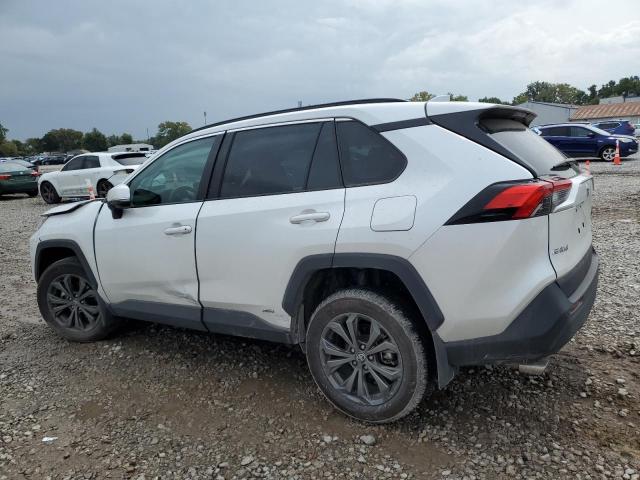 2025 TOYOTA RAV4 XLE P - 4T3B6RFV5SU178726
