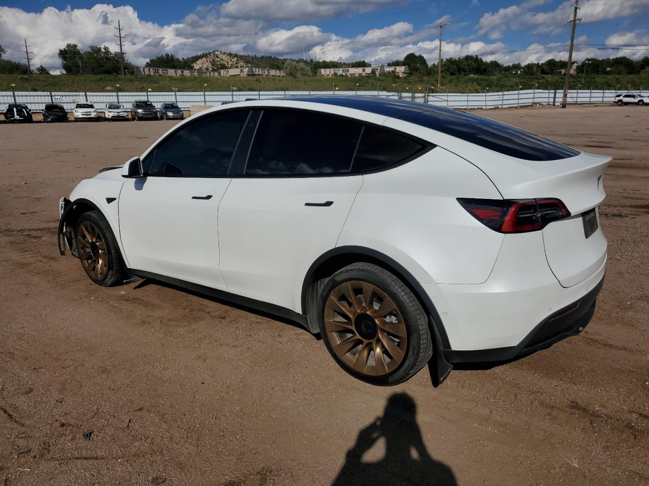 Lot #3302711009 2022 TESLA MODEL Y