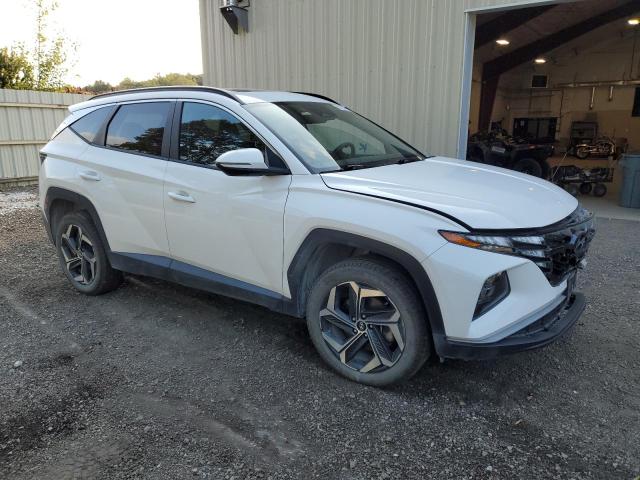 2023 HYUNDAI TUCSON SEL - 5NMJFCAE7PH263899