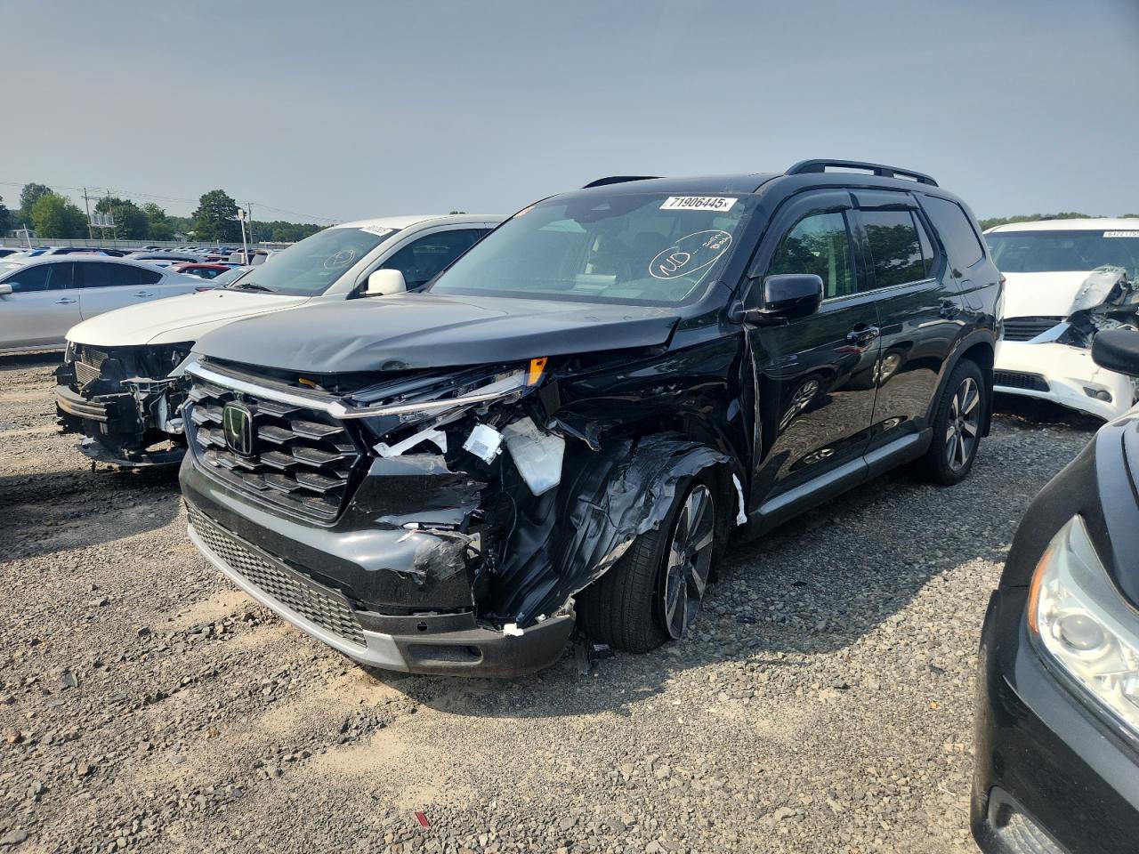 HONDA PILOT ELITE