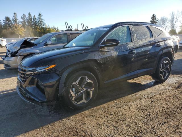 2023 HYUNDAI TUCSON LUX KM8JDDA21PU112644
