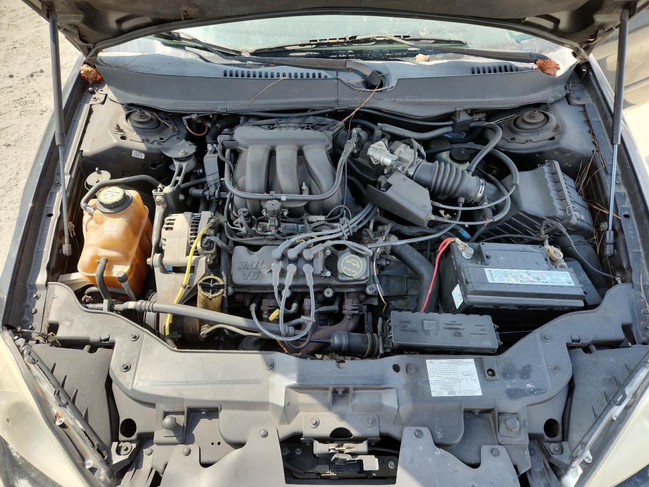 Lot #3278795614 2006 FORD TAURUS SE