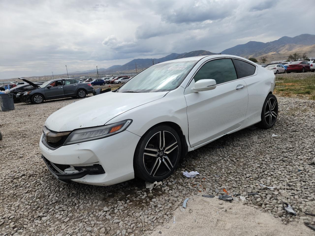 HONDA ACCORD TOURING