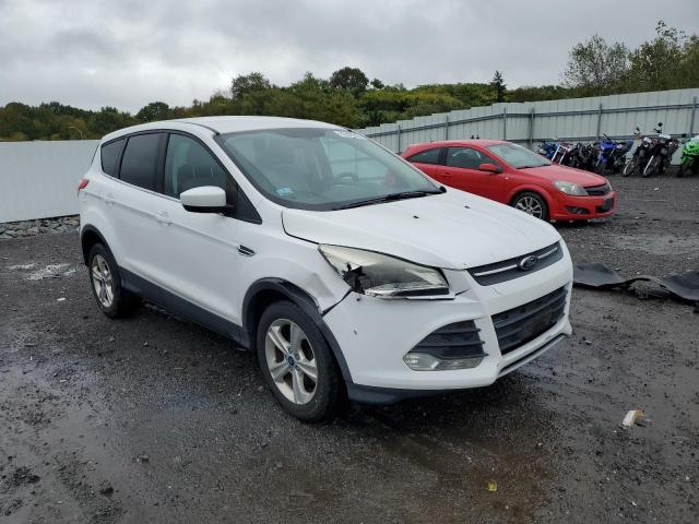 2013 FORD ESCAPE SE - 1FMCU0GX1DUC48658