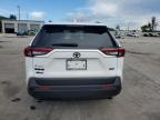 Lot #3292588908 2025 TOYOTA RAV4 XLE
