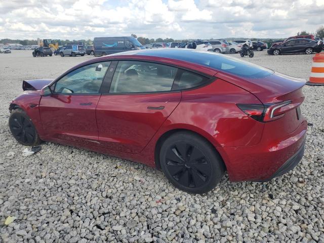 2025 TESLA MODEL 3 #3293416062