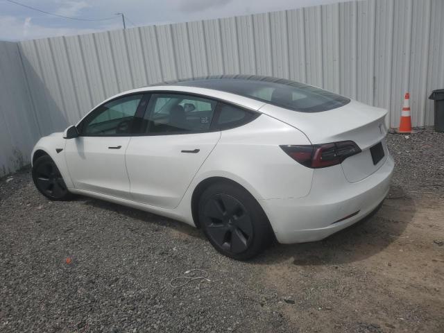 2023 TESLA MODEL 3 5YJ3E1EA0PF447672