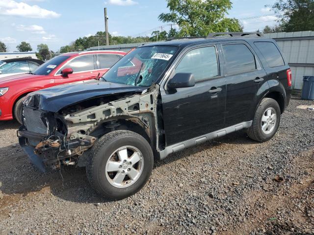 Global Auto Auctions: 2010 FORD ESCAPE XLT