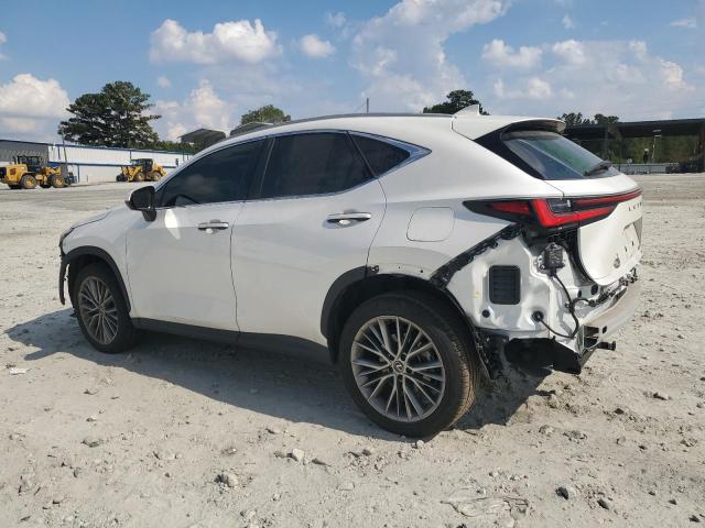 2024 LEXUS NX 350 LUX 2T2HGCEZ8RC051557