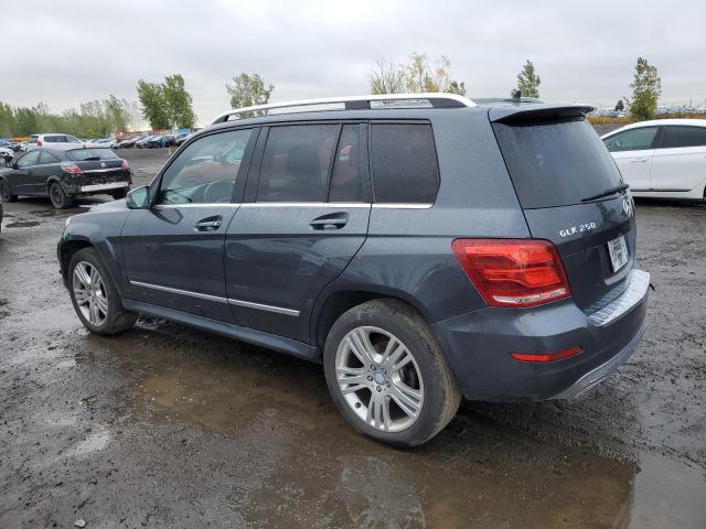 2013 MERCEDES-BENZ GLK 250 BL - WDCGG0EB1DG112124