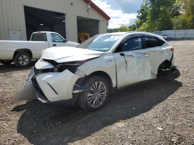 Global Auto Auctions: 2021 TOYOTA VENZA LE