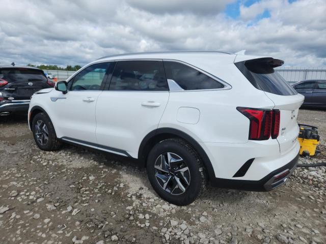 2022 KIA SORENTO S KNDRGDLG4N5081307