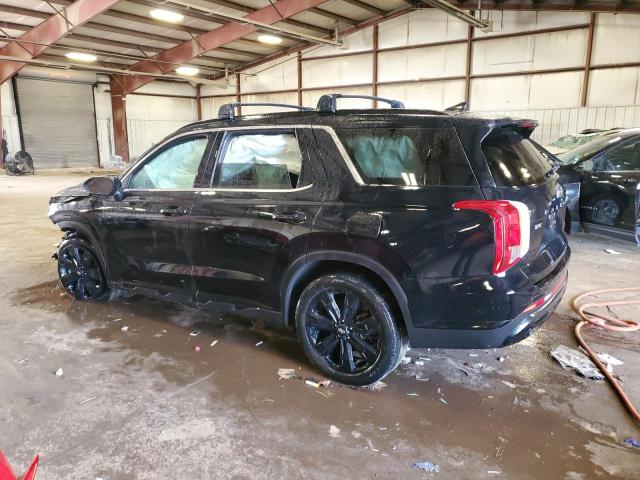 2024 HYUNDAI PALISADE X #3287662037