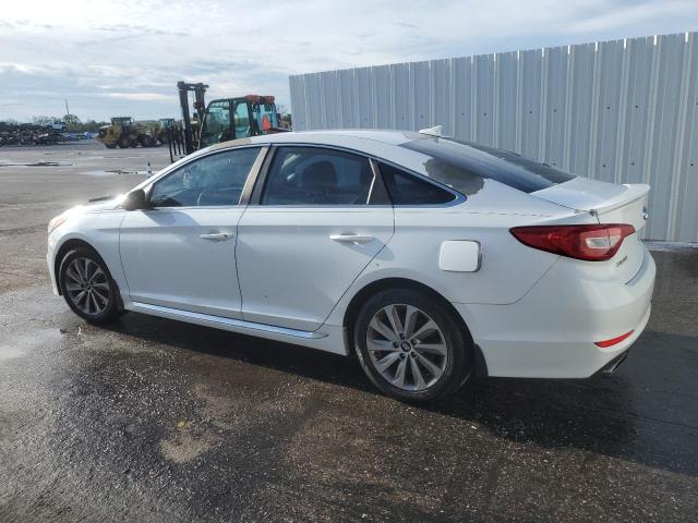 2015 HYUNDAI SONATA SPO 5NPE34AF4FH131645