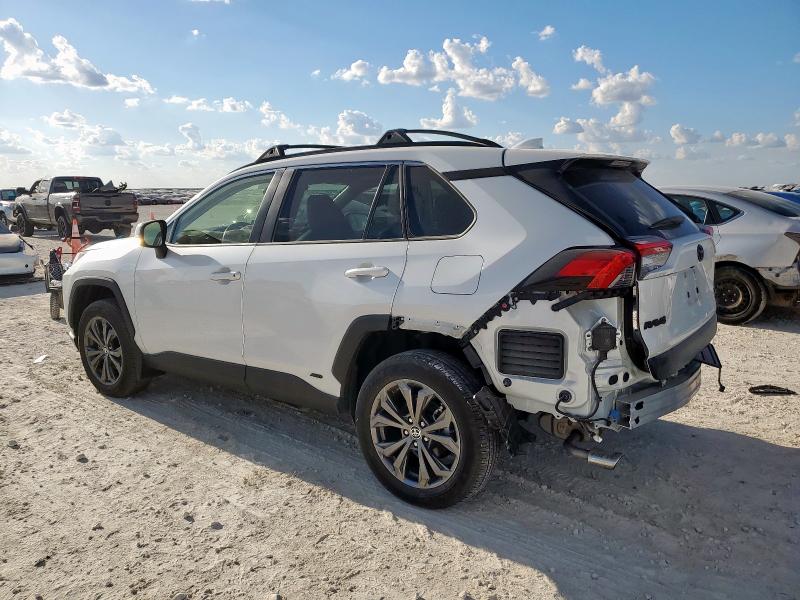 2024 TOYOTA RAV4 XLE P - JTMB6RFV6RD557077