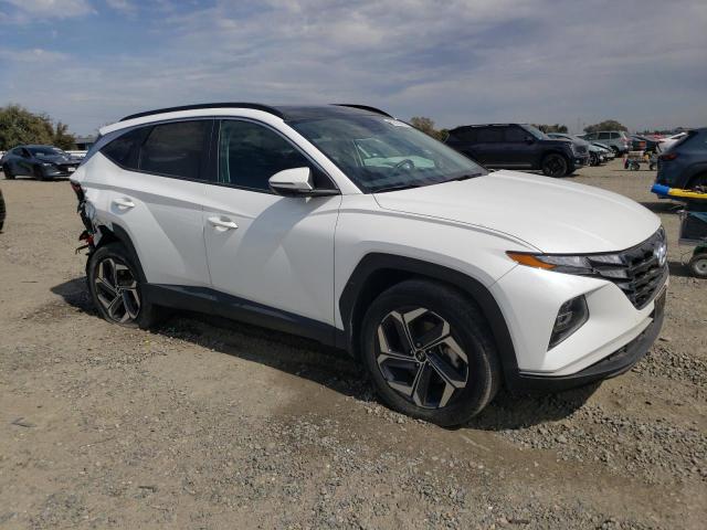 2023 HYUNDAI TUCSON SEL - KM8JFCA13PU102029