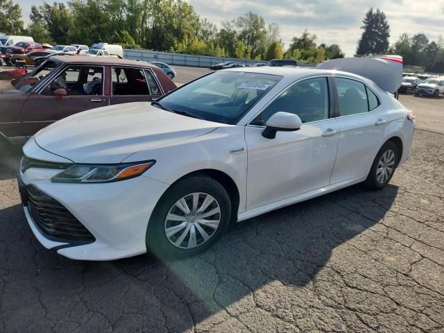 Global Auto Auctions: 2019 TOYOTA CAMRY LE