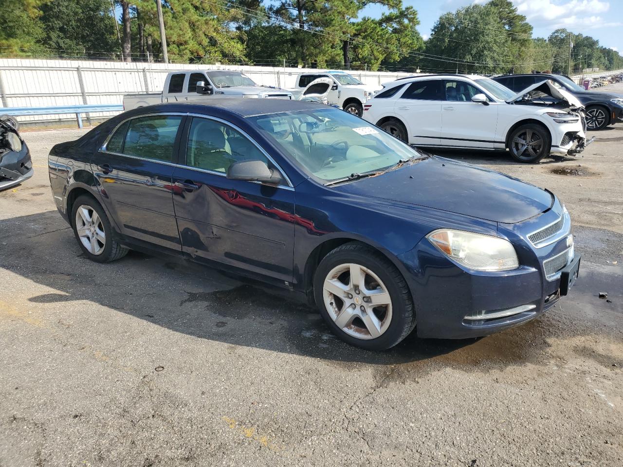 Lot #3290222205 2009 CHEVROLET MALIBU LS