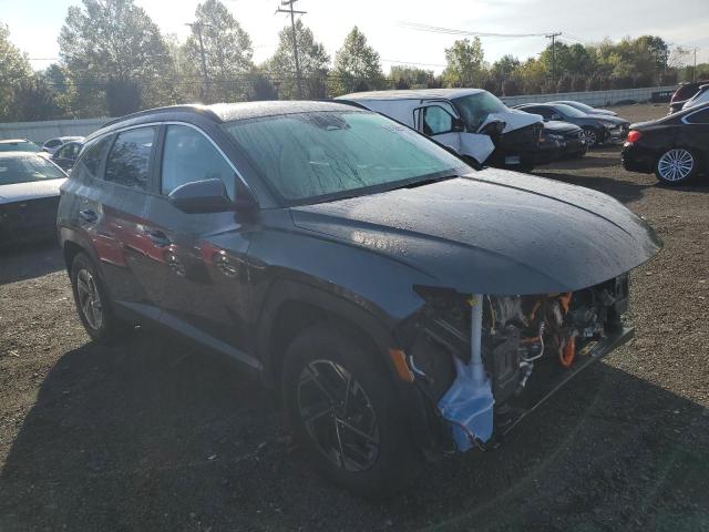 2025 HYUNDAI TUCSON BLUE KM8JBDD1XSU268697