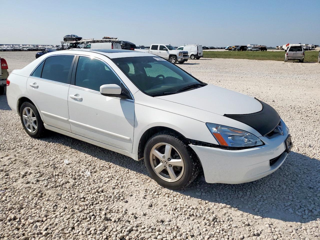 Lot #3291630242 2004 HONDA ACCORD EX