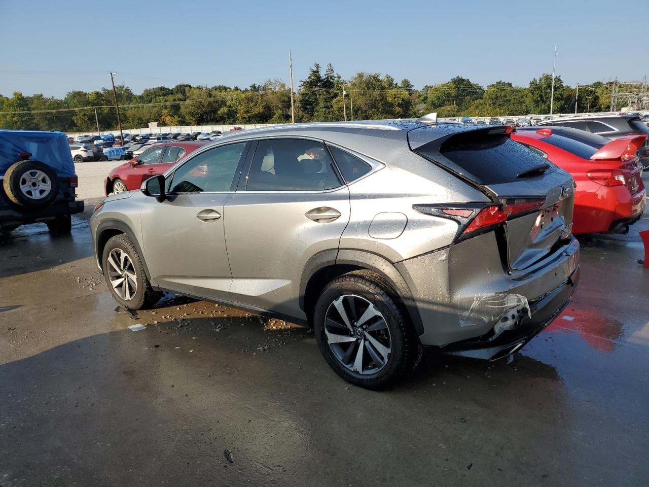 LEXUS NX 300