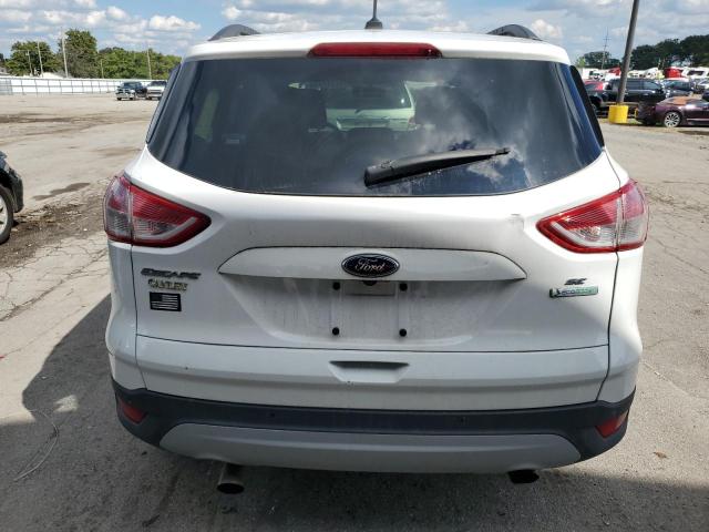 2014 FORD ESCAPE SE - 1FMCU0GX6EUB25181