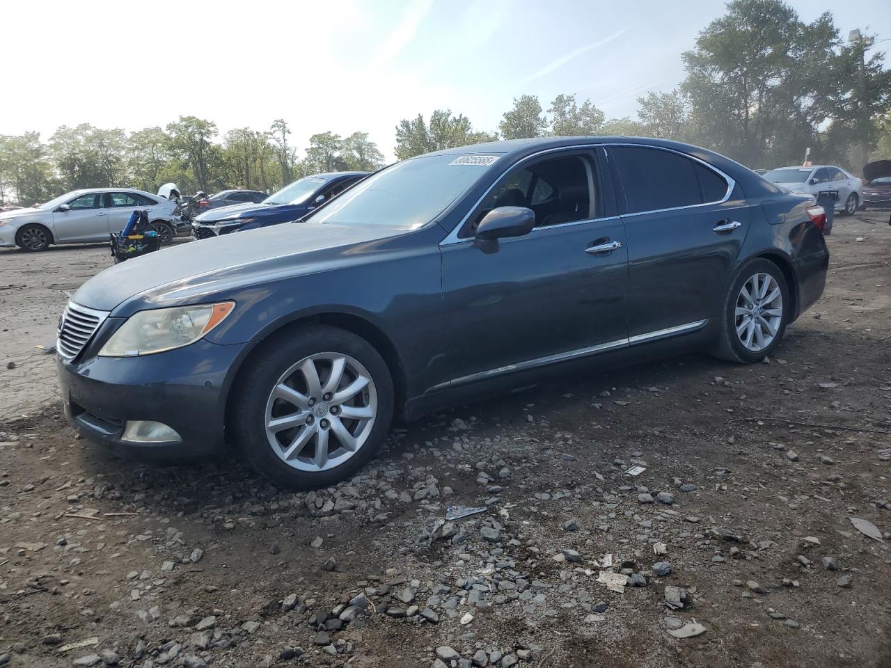 Vehicle photo