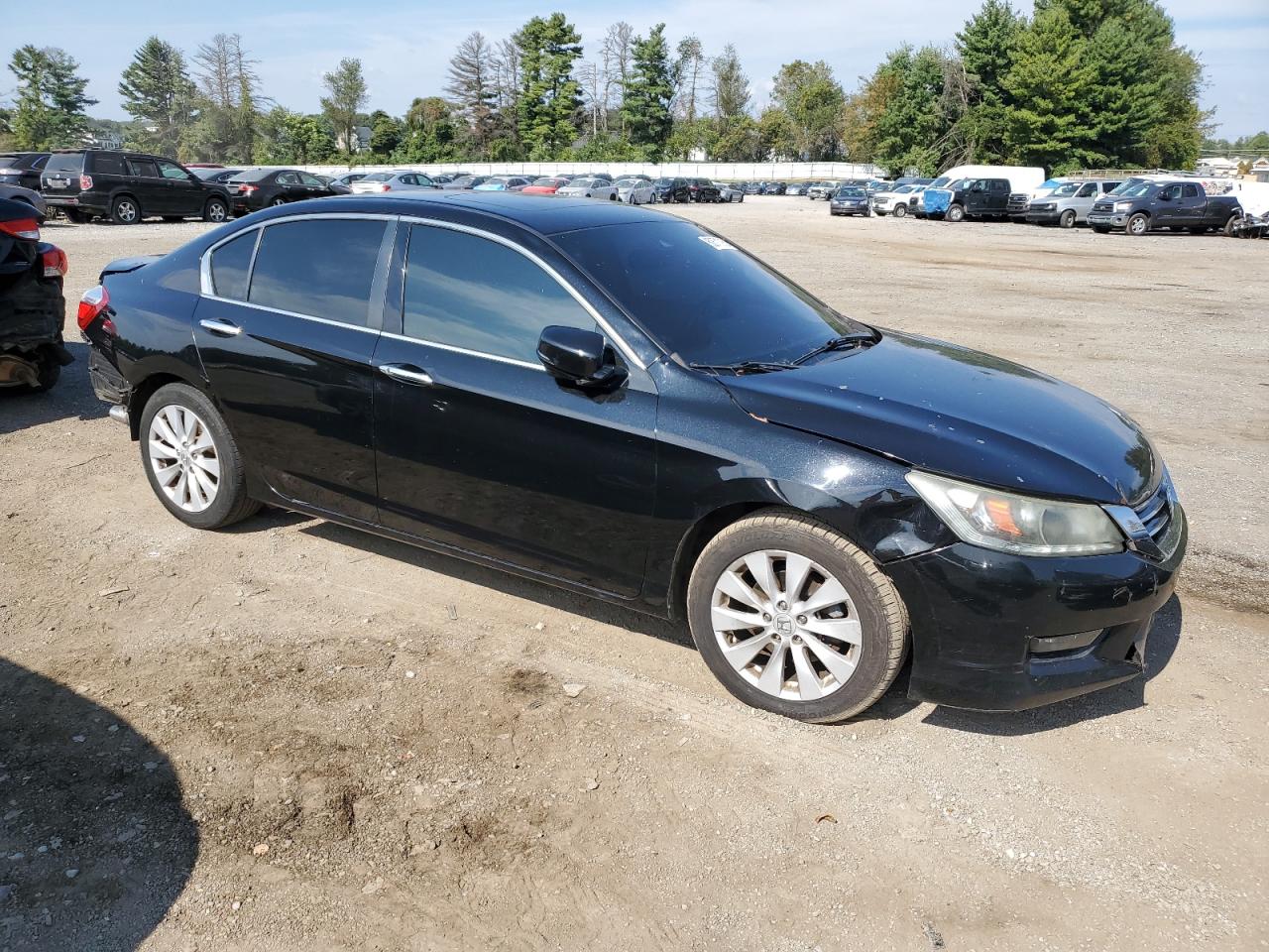 HONDA ACCORD EXL