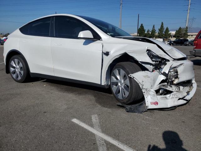 2024 TESLA MODEL Y #3284164574