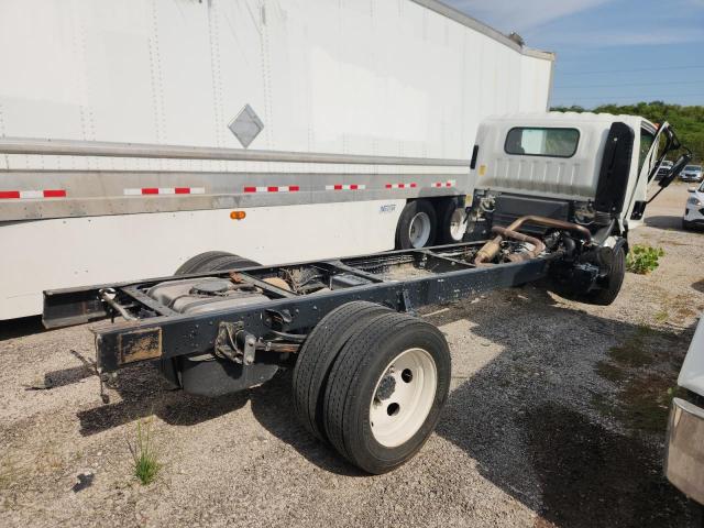 2024 ISUZU NPR HD #3293280422