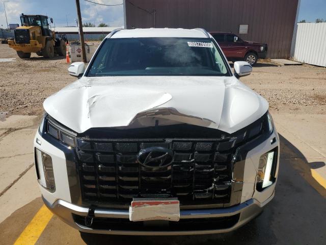 2025 HYUNDAI PALISADE S KM8R2DGE5SU954650