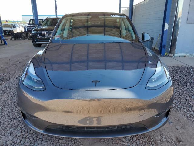 2023 TESLA MODEL Y #3309634059