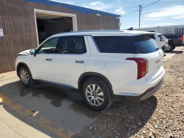 2025 HYUNDAI PALISADE S KM8R2DGE5SU954650