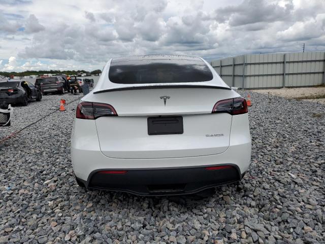 2023 TESLA MODEL Y - 7SAYGDEF1PF766191