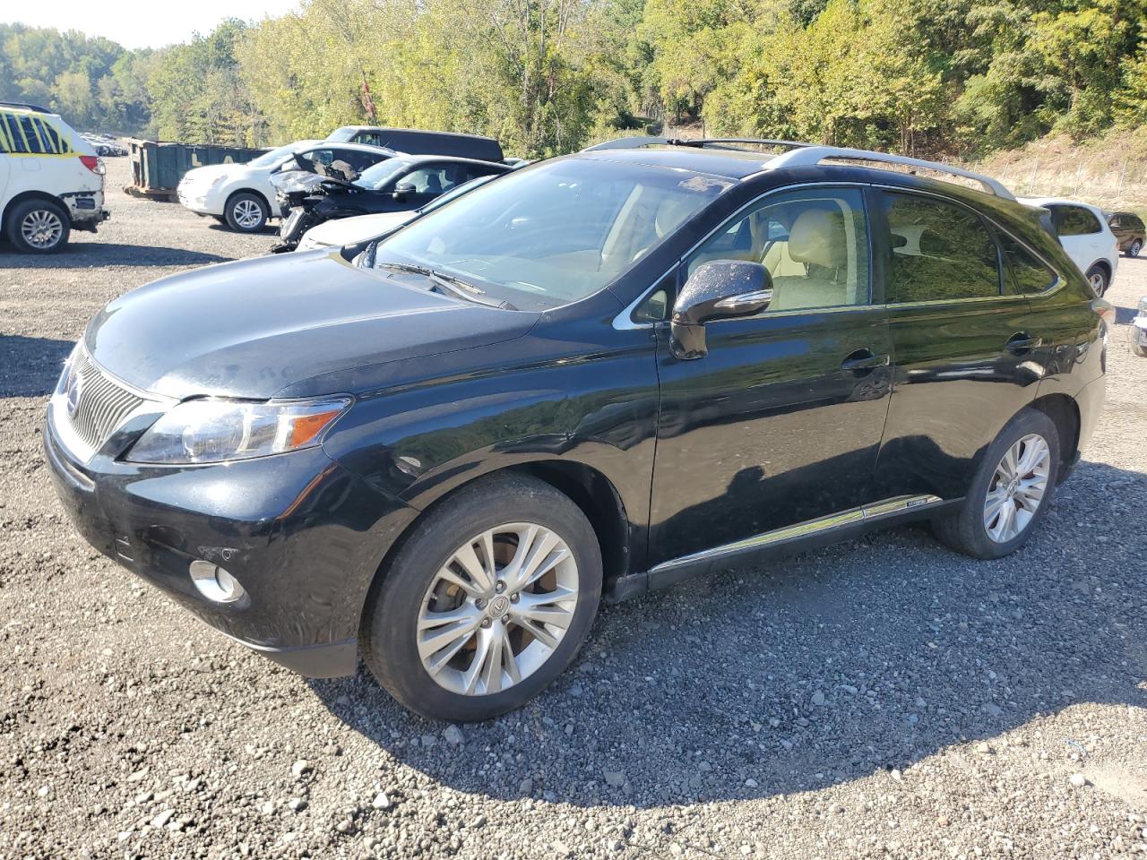 LEXUS RX 450H