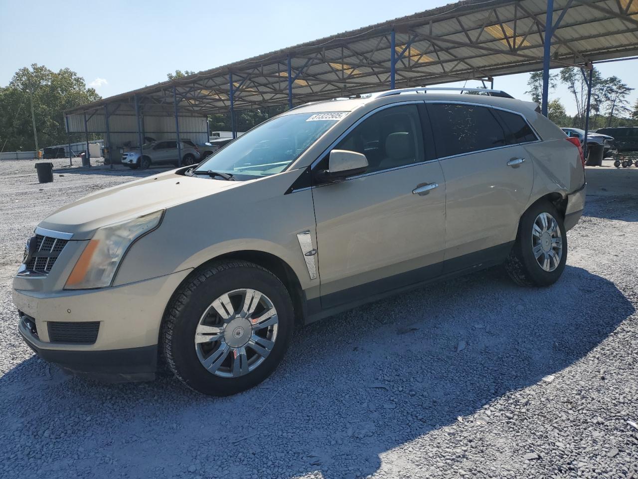 CADILLAC SRX LUXURY COLLECTION
