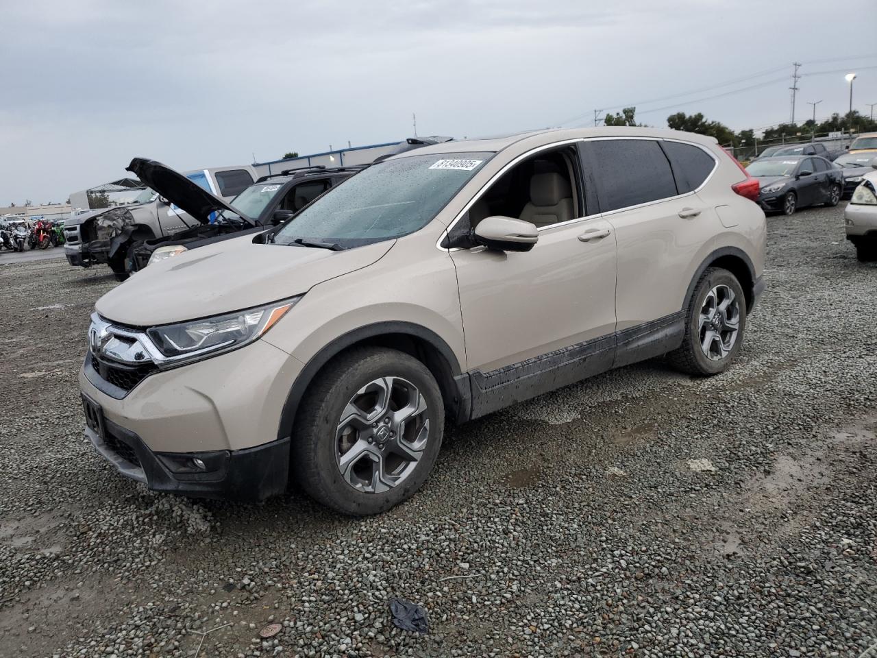 HONDA CR-V EX