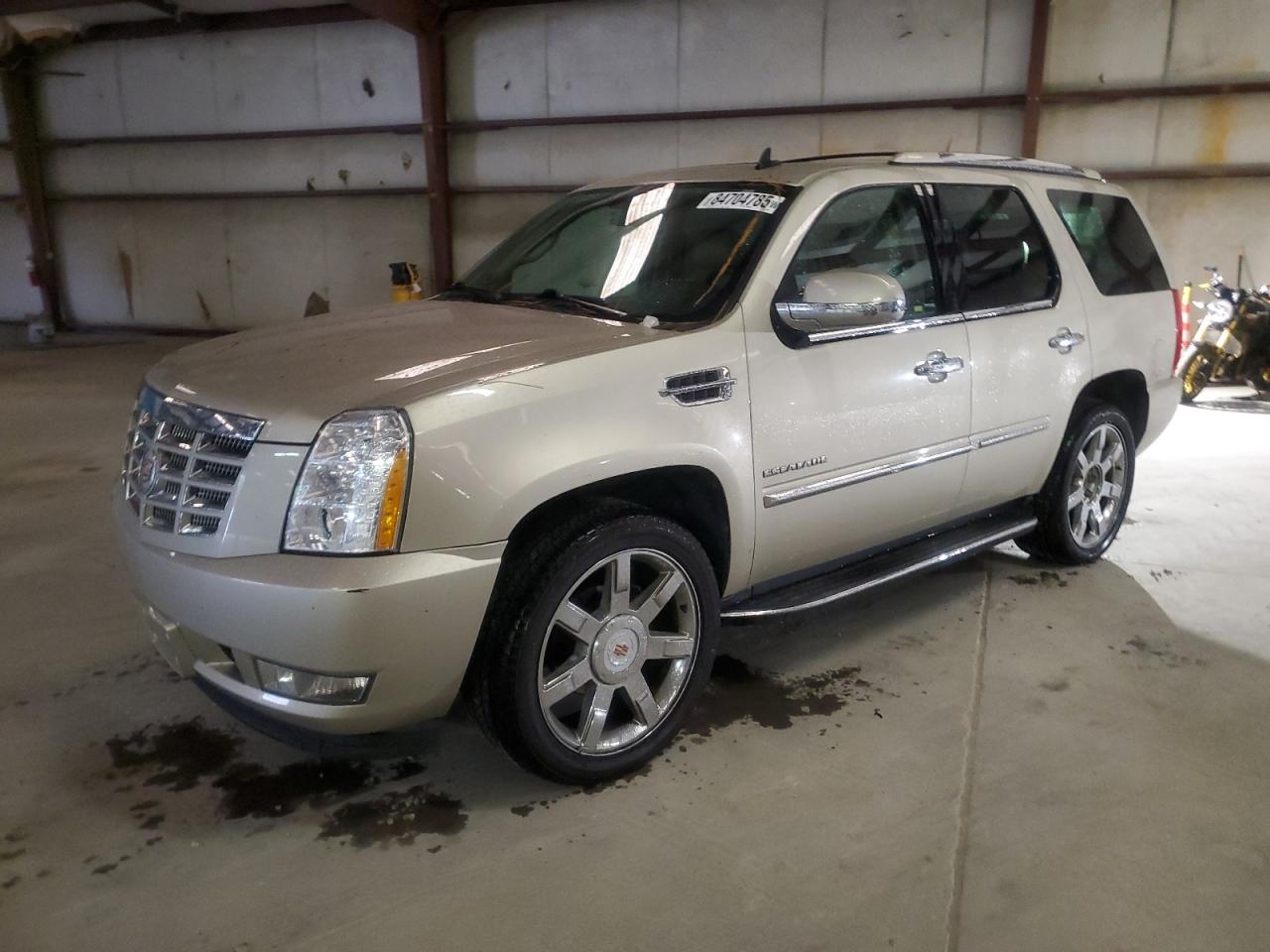 CADILLAC ESCALADE LUXURY
