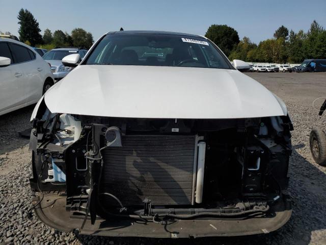 2019 KIA OPTIMA SXL 5XXGV4L22KG304467