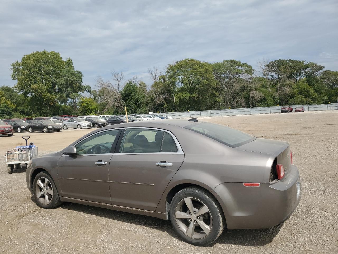 CHEVROLET MALIBU 1LT