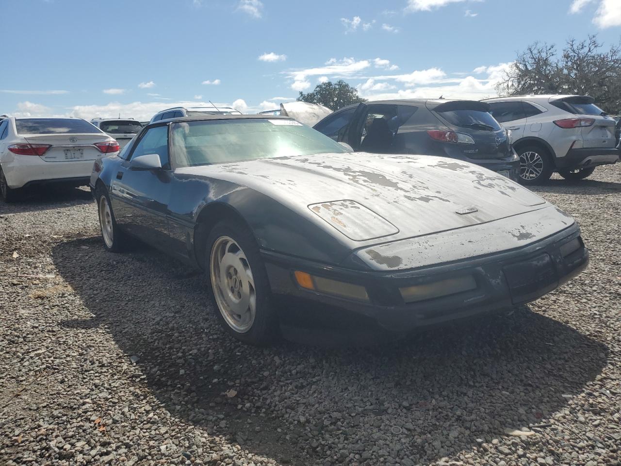 Lot #3255386437 1995 CHEVROLET CORVETTE