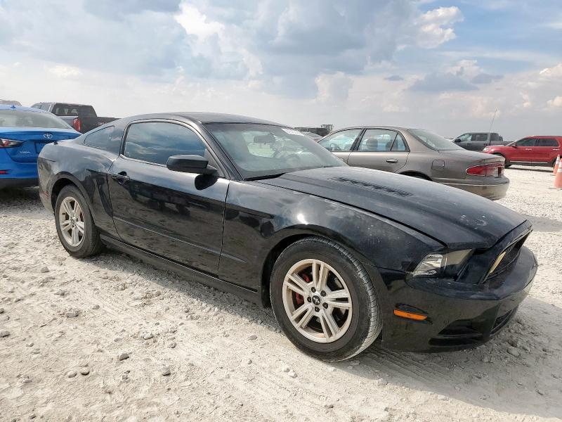 2014 FORD MUSTANG - 1ZVBP8AMXE5229264