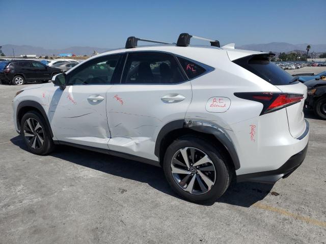 2020 LEXUS NX 300 - JTJGARBZ1L5019480