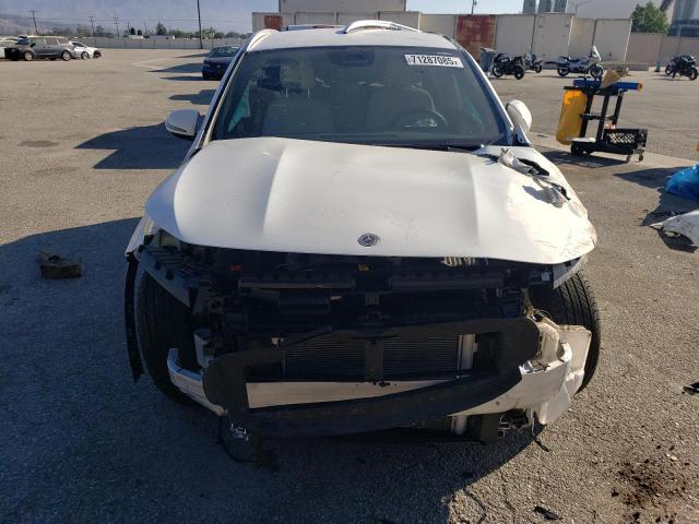 2025 MERCEDES-BENZ GLA 250 #3276377708