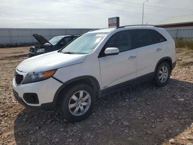 Global Auto Auctions: 2011 KIA SORENTO BA
